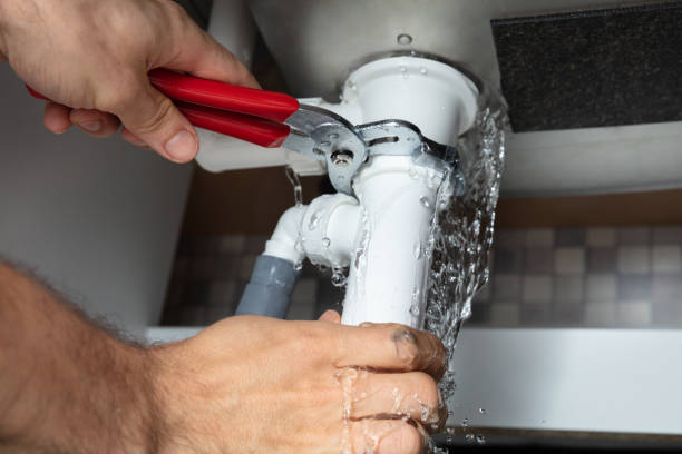 Best Professional water damage repair  in Erin, TN