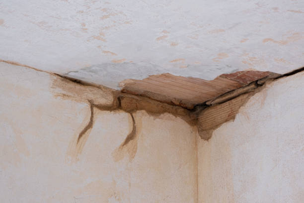 Best 24-hour water damage restoration  in Erin, TN