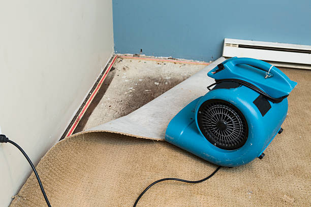 Best Flooded house restoration  in Erin, TN